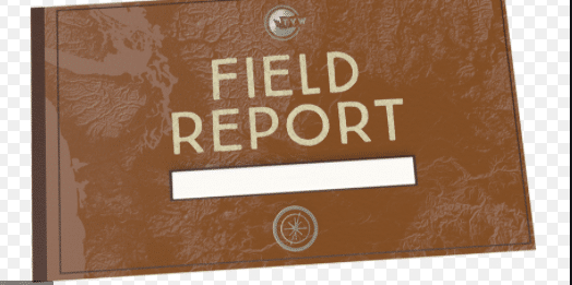 Download Field Report Sample PDF for Free | Example of  Field Report