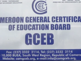 Gce Ordinary Level Technical Results