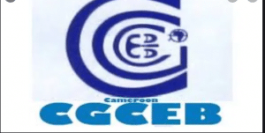 Gce Advanced Level General Results Free