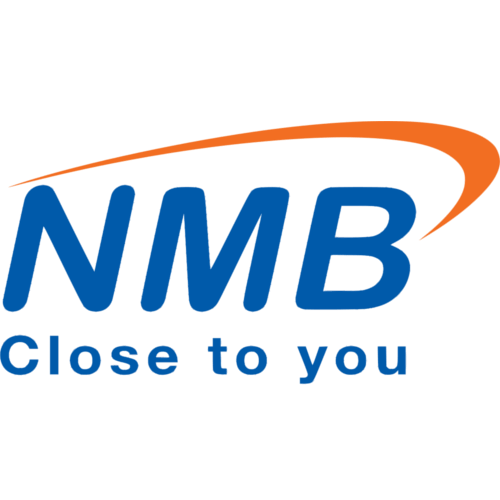 Tz Nmb Logo