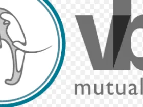 Vbs Mutual Bank