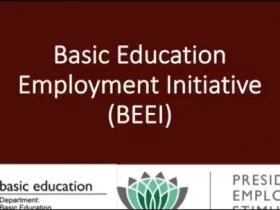Presidential Youth Employment Initiative (Pyei) Phase 3
