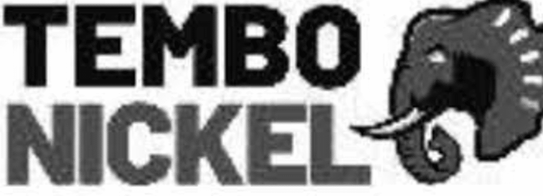 Job Vacancies at Tembo Nickel Corporation Limited