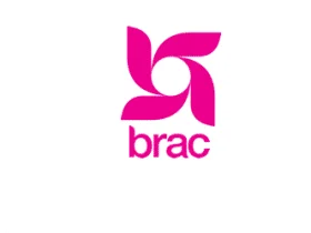 Job Vacancy At Brac Enterprises