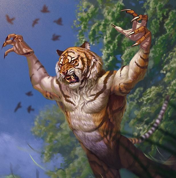 Weretiger Fantasy Art Animals Tiger Pictures