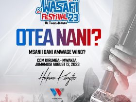 Wasafi Festival 2023 Music Festival In Tanzania