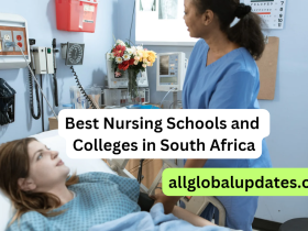 Best Nursing Schools And Colleges In South Africa