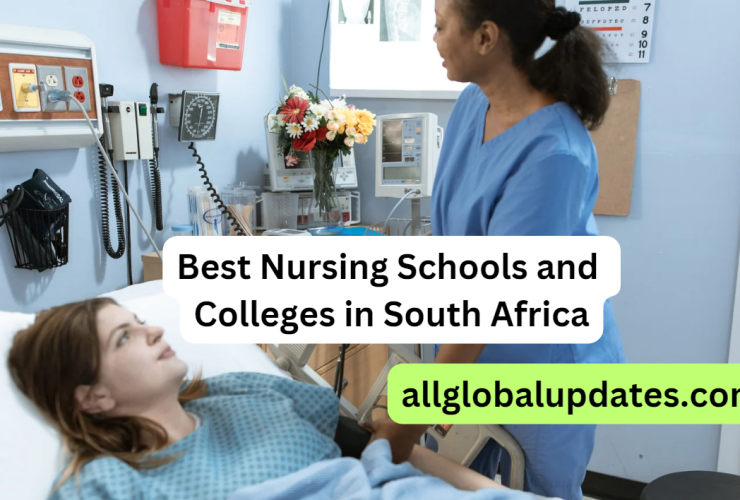Best Nursing Schools And Colleges In South Africa