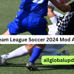 Dream League Soccer 2024 Mod Apk