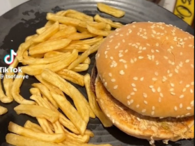 Mcdonald'S Burger After 8 Months
