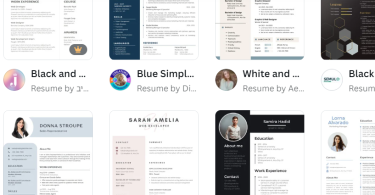 Top 10 Free Cv Templates