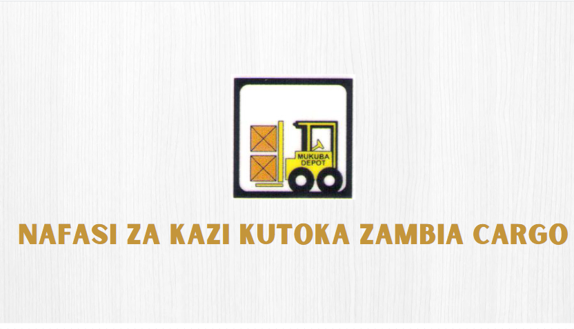 Assistant Accountant Job Vacancy at Zambia Cargo July, 2024